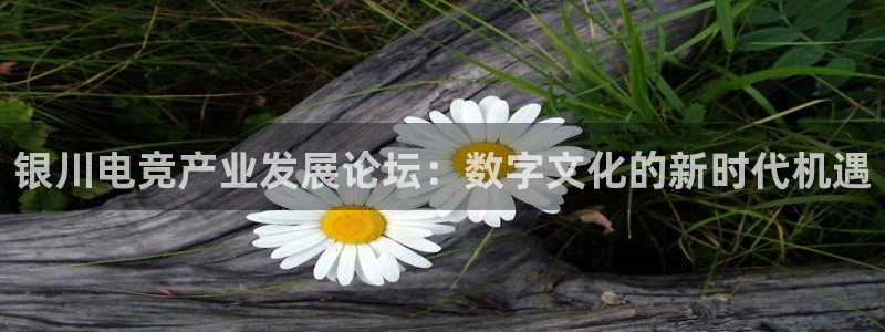 米兰电竞官网下载：银川电竞产业发展论坛：数字文化的新时代机遇