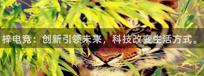 米兰电竞网站：梓电竞：创新引领未来，科技改变生活方式。