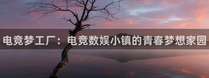 米兰电竞网页版入口：电竞梦工厂：电竞数娱小镇的青春梦想家园